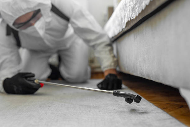 Professional Bed Bug Control technician working in Ferrysburg, MI