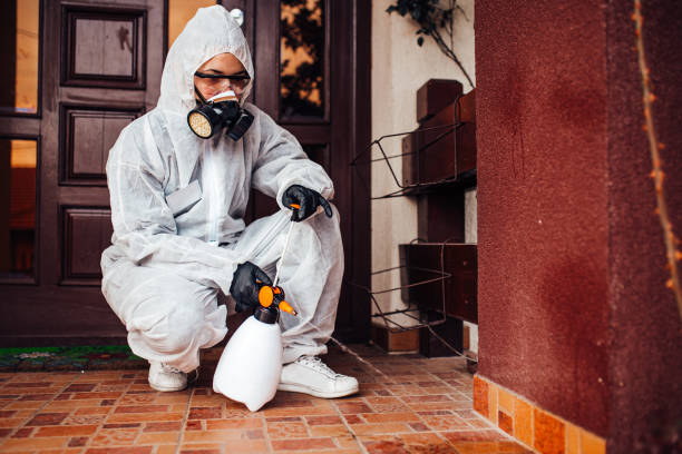 Reliable Bed Bug Control contractor in Ferrysburg, MI by Nex Pest Control