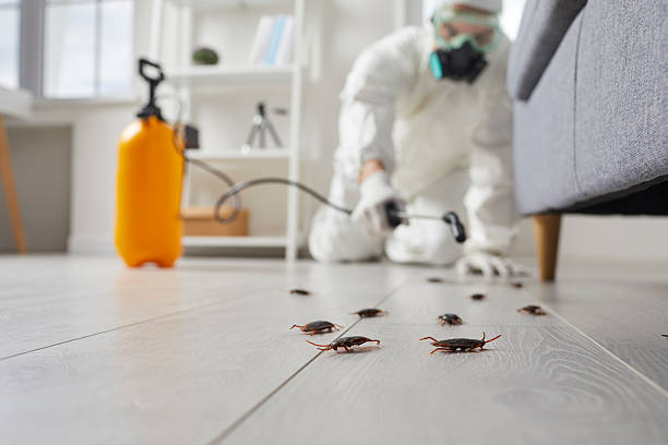 Trusted Bed Bug Control service in Ferrysburg, MI - Nex Pest Control
